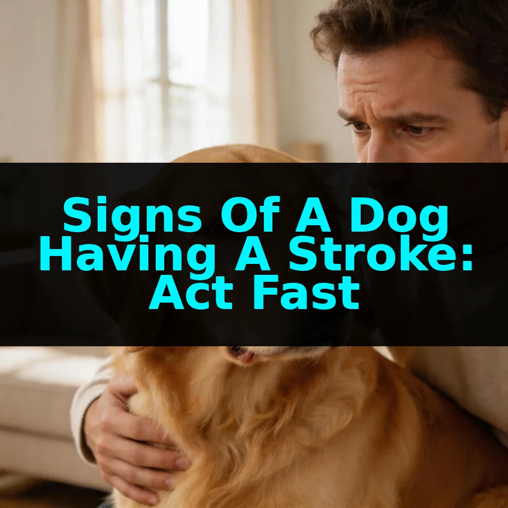 Signs Of A Dog Having A Stroke: Act Fast