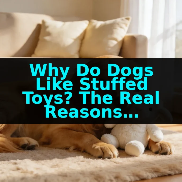 Why Do Dogs Like Stuffed Toys? The Real Reasons Explained