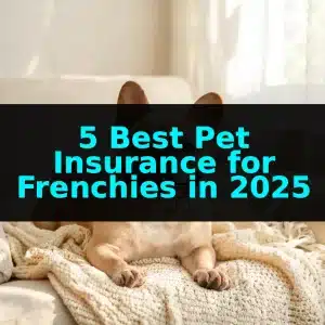 5 Best Pet Insurance for Frenchies in 2025