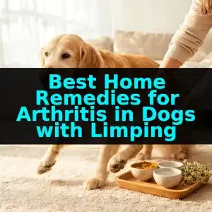 Best Home Remedies for Arthritis in Dogs with Limping