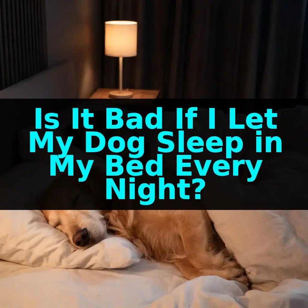 Is It Bad If I Let My Dog Sleep in My Bed Every Night?